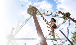Wildplay Zipline