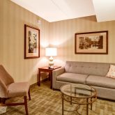 DoubleTree Fallsview Living Room