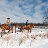 Humberstone  Winter Shoot